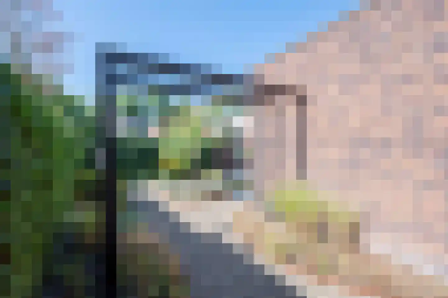 A Koenestraat 8 Oudenbosch thumbnail 35