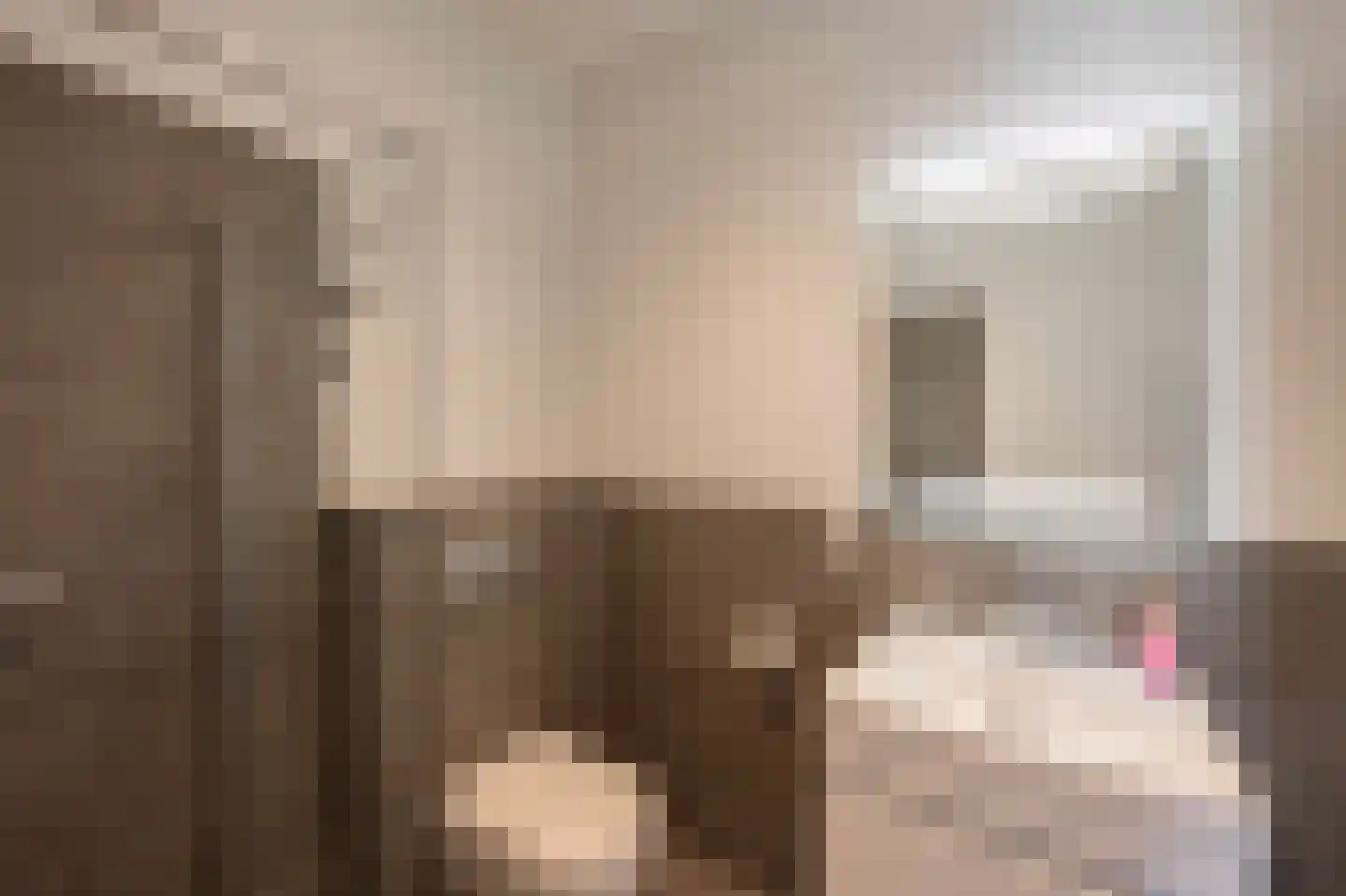 A Koenestraat 8 Oudenbosch thumbnail 39