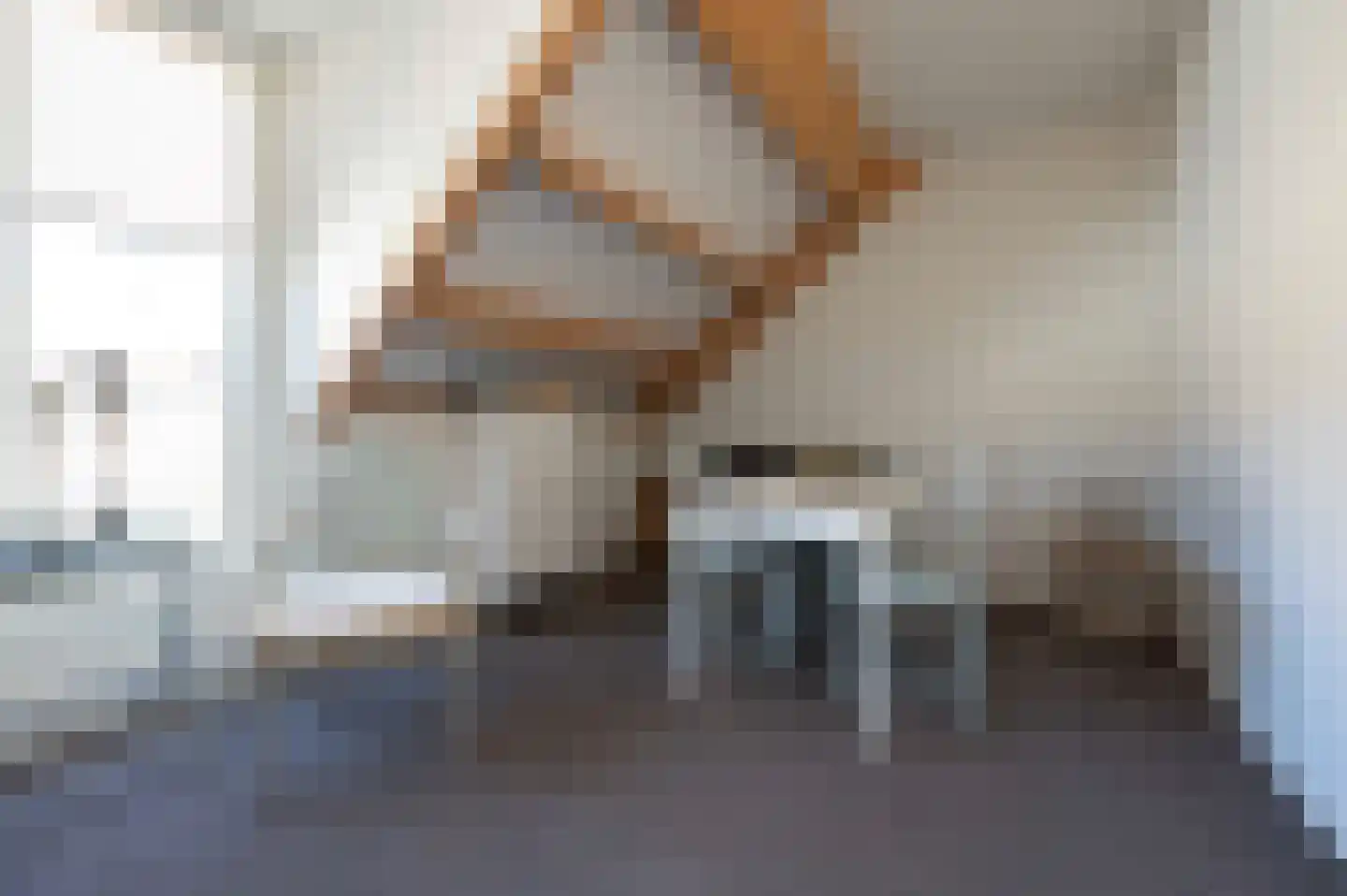 A Koenestraat 8 Oudenbosch thumbnail 41