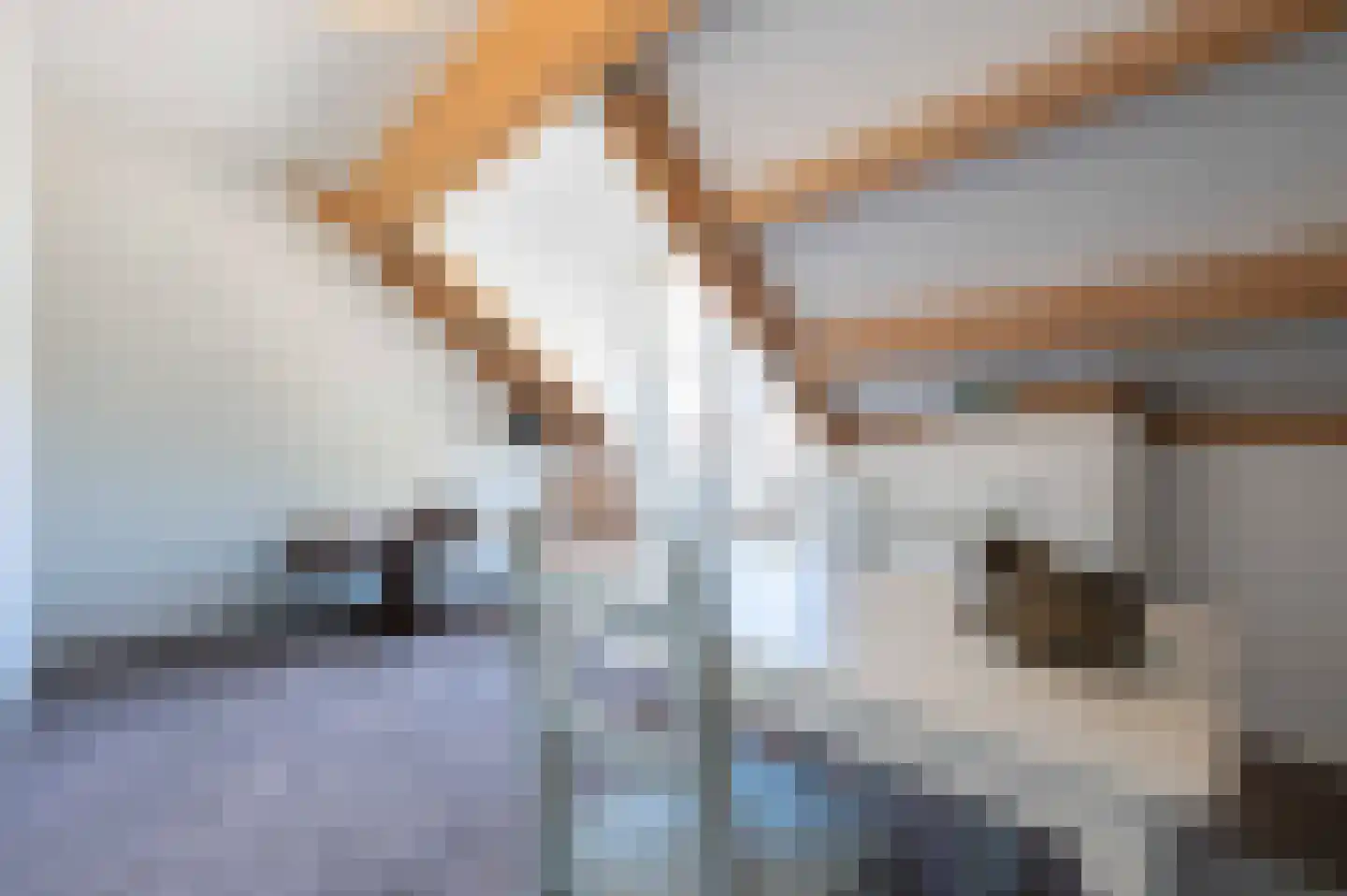 A Koenestraat 8 Oudenbosch thumbnail 42