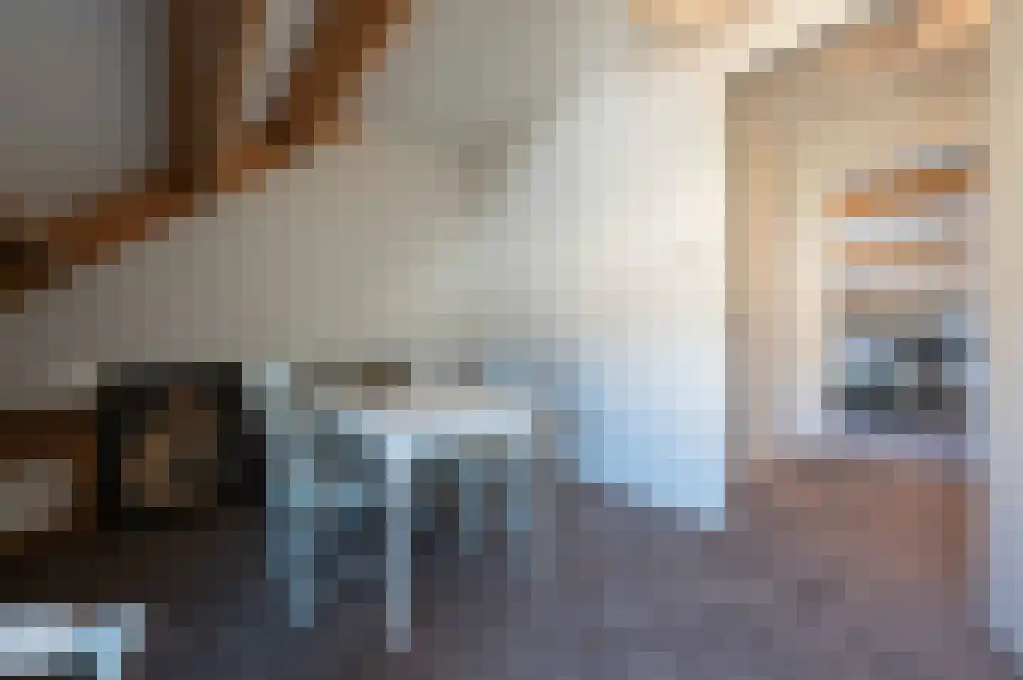A Koenestraat 8 Oudenbosch thumbnail 43
