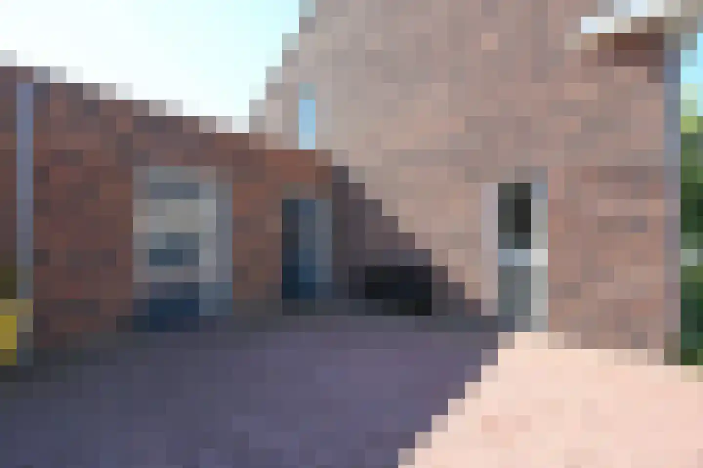 A Koenestraat 8 Oudenbosch thumbnail 6