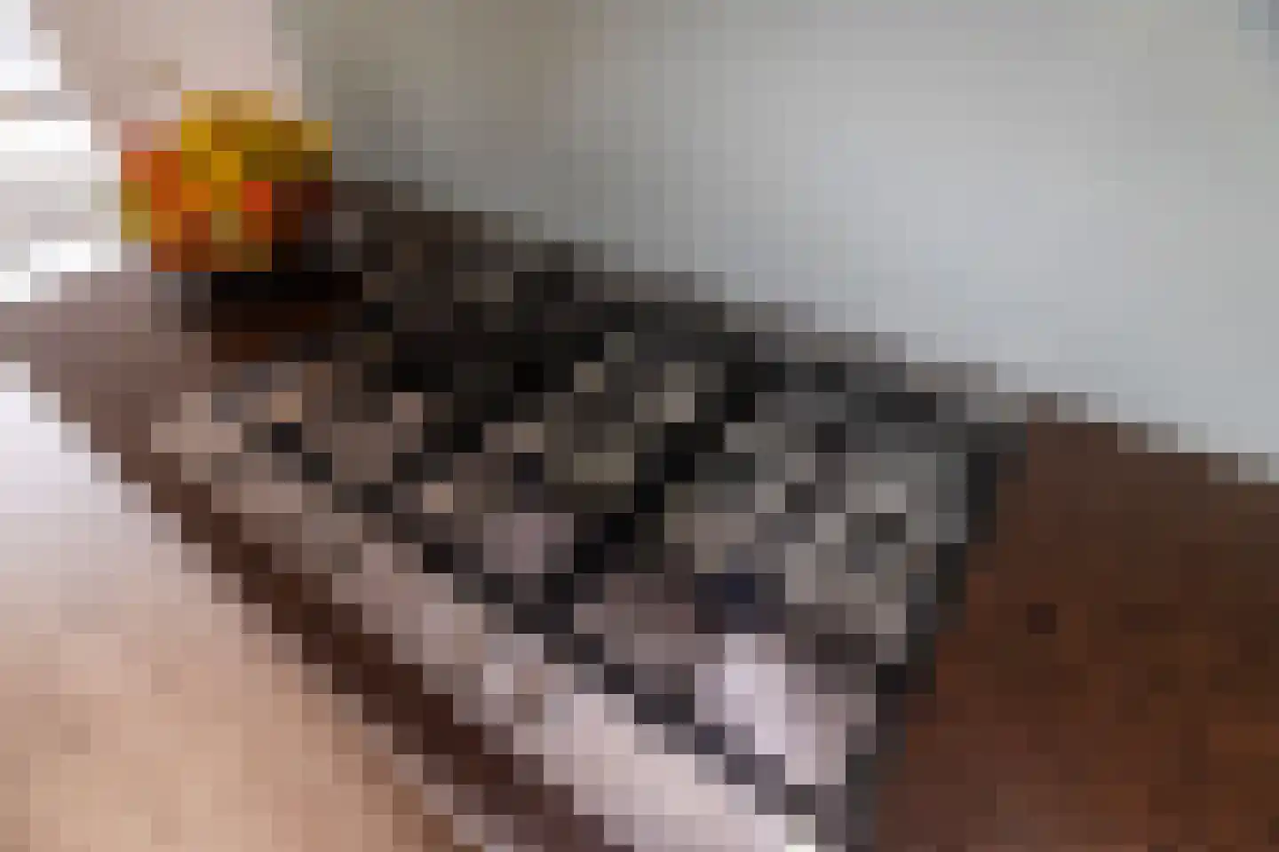 A. Kortekaasplantsoen 92 Den Haag thumbnail 16