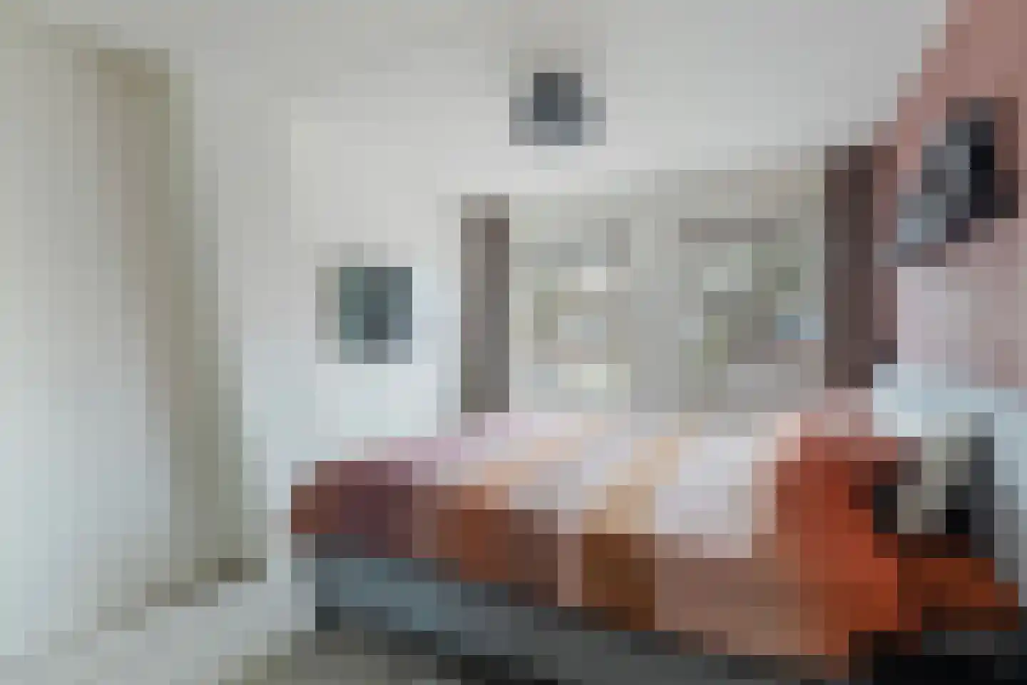 A Kuyperstraat 5 Franeker thumbnail 28