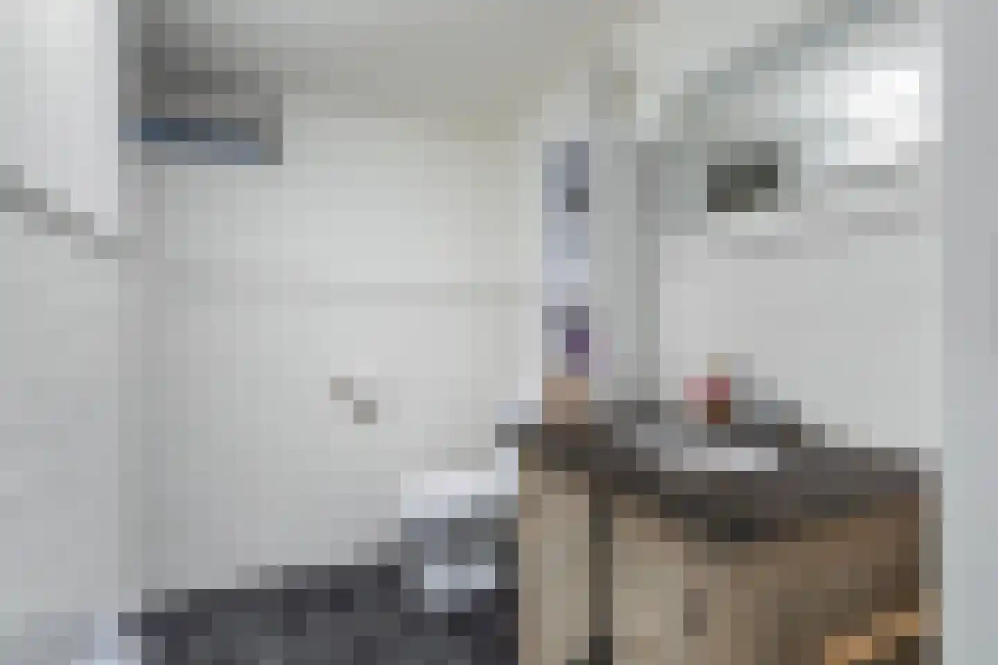 A Kuyperstraat 5 Franeker thumbnail 32