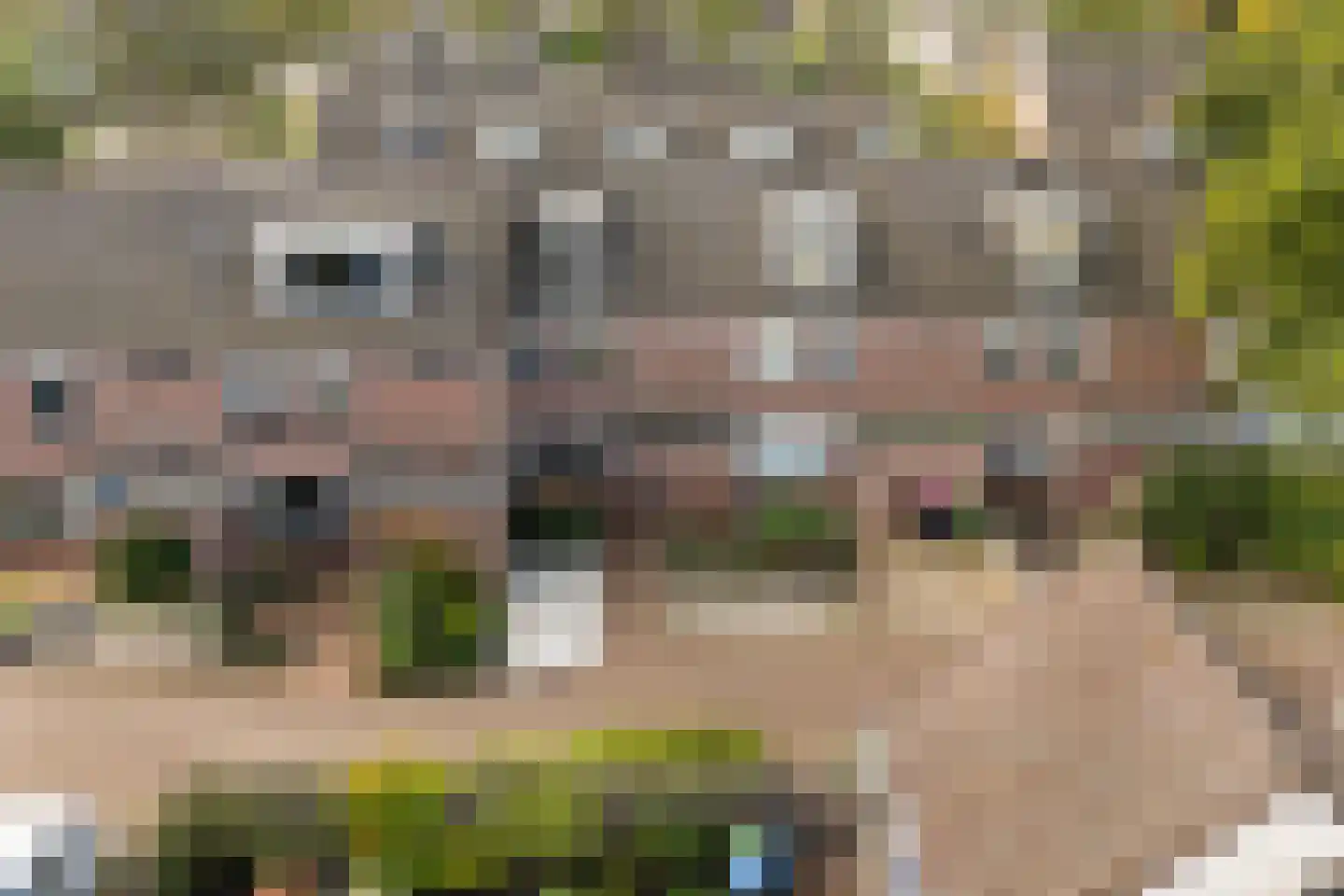 A Kuyperstraat 5 Franeker thumbnail 46