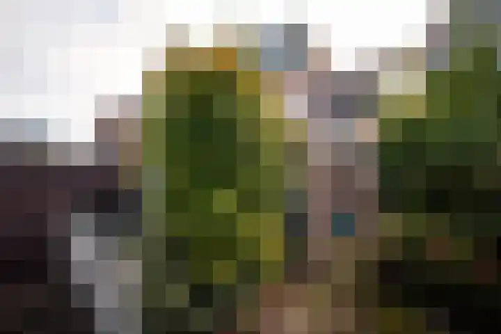 A.L. Dyserinckstraat 106 Haarlem thumbnail 18