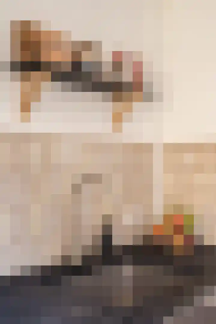 A.L. Dyserinckstraat 108 Haarlem thumbnail 28