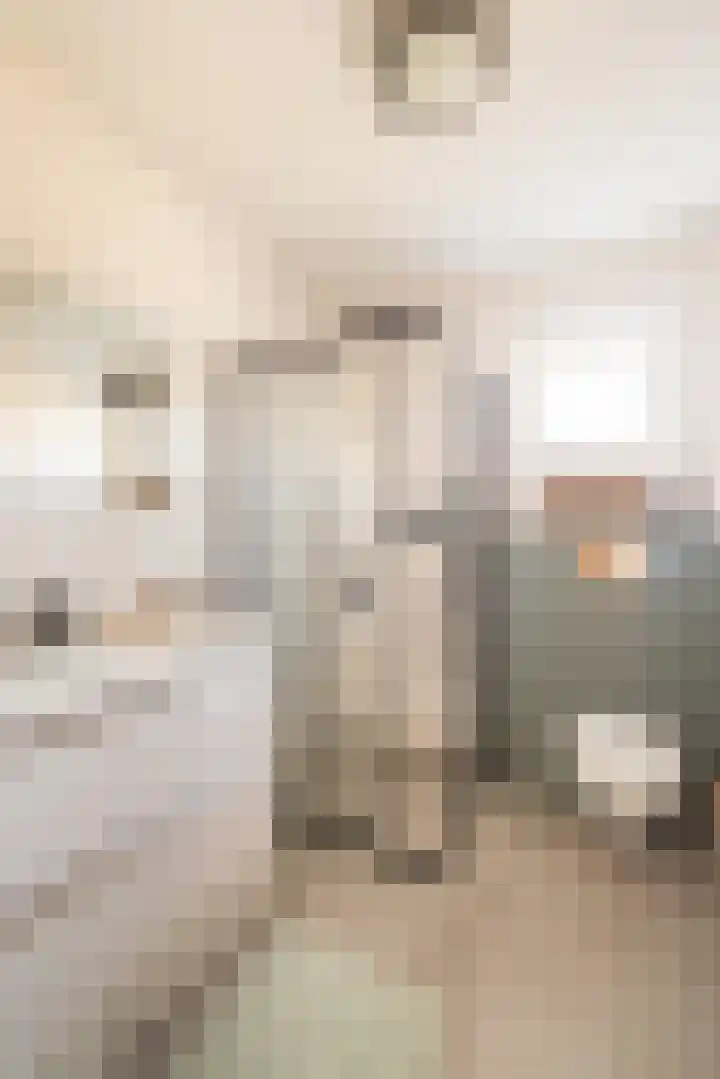 A.L. Dyserinckstraat 108 Haarlem thumbnail 35