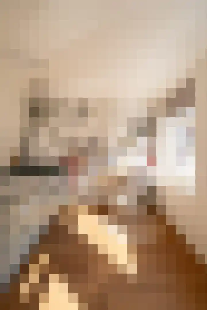 A.L. Dyserinckstraat 108 Haarlem thumbnail 38