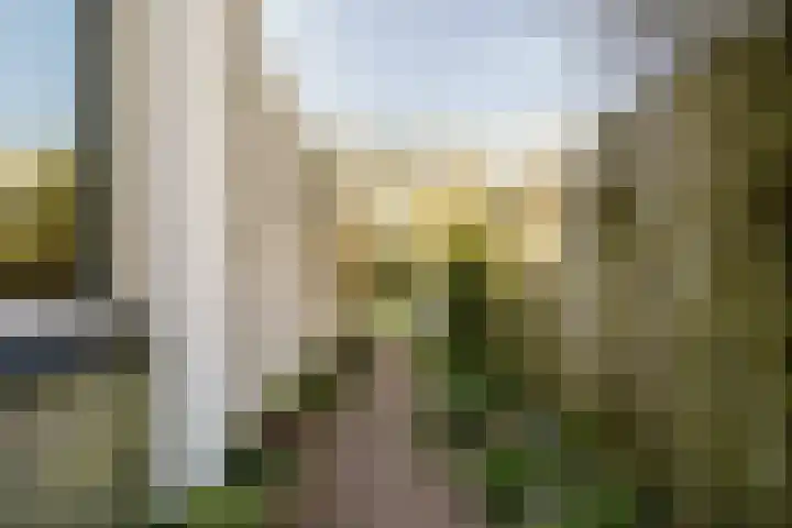A.L. Dyserinckstraat 108 Haarlem thumbnail 56