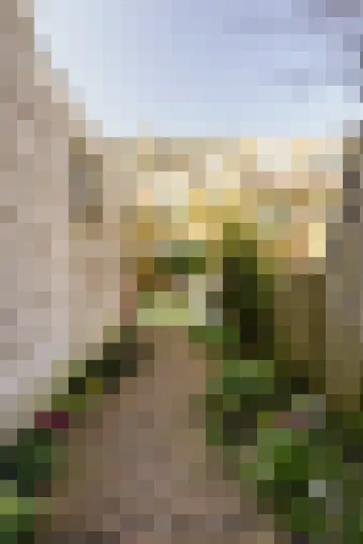 A.L. Dyserinckstraat 108 Haarlem thumbnail 61