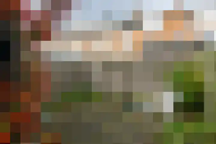 A.L. Dyserinckstraat 124 Haarlem thumbnail 18