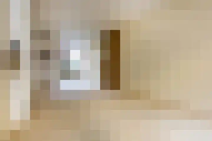 A.L. Dyserinckstraat 124 Haarlem thumbnail 4