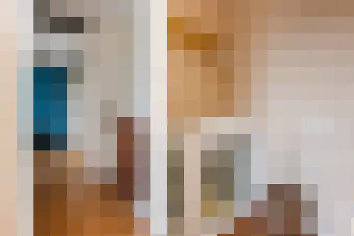 A.L. Dyserinckstraat 20 D Haarlem thumbnail 21