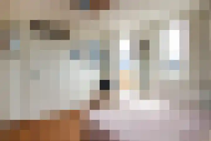A.L. Dyserinckstraat 20 D Haarlem thumbnail 24