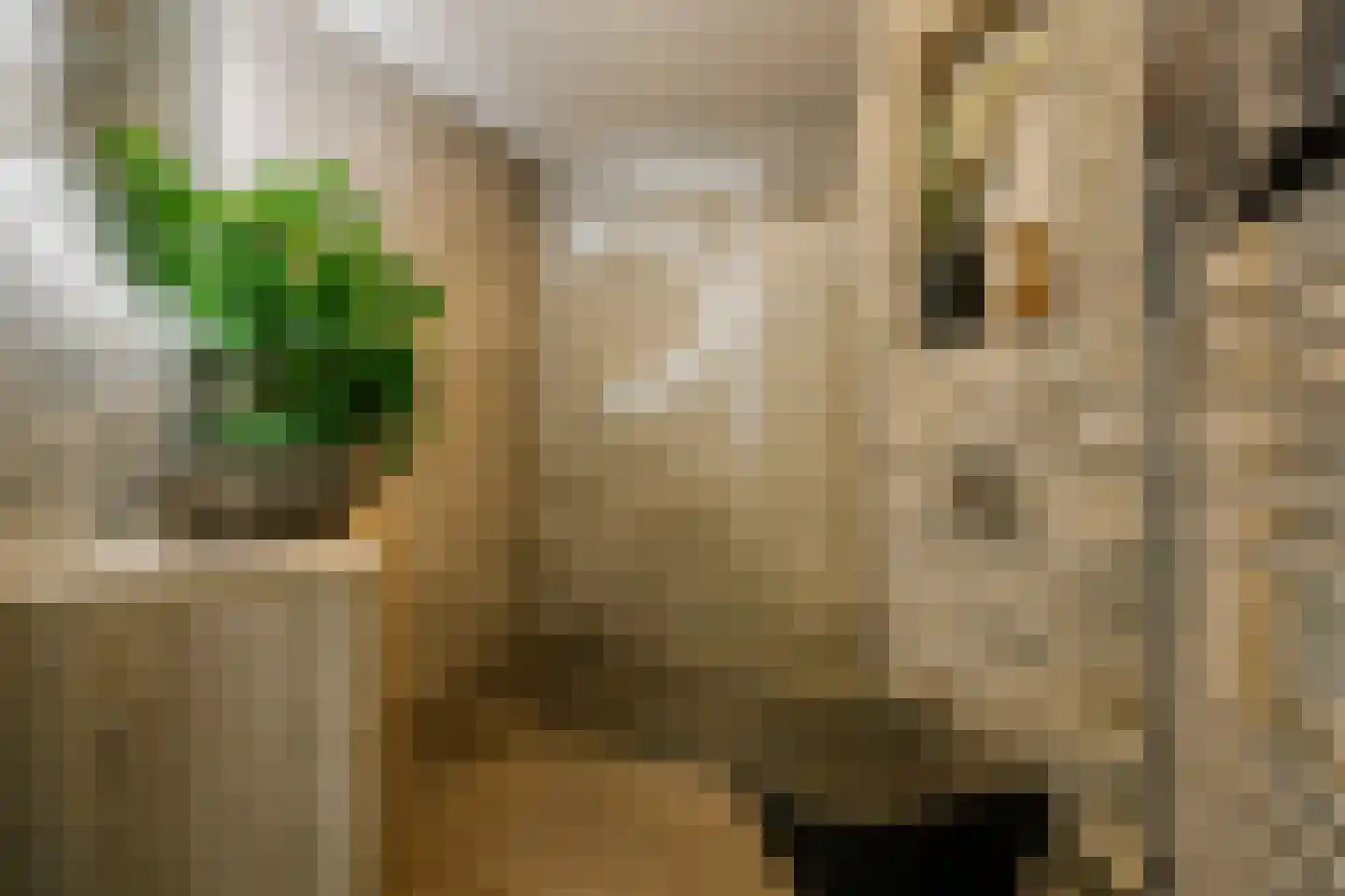 A.L. Dyserinckstraat 37 Haarlem thumbnail 23