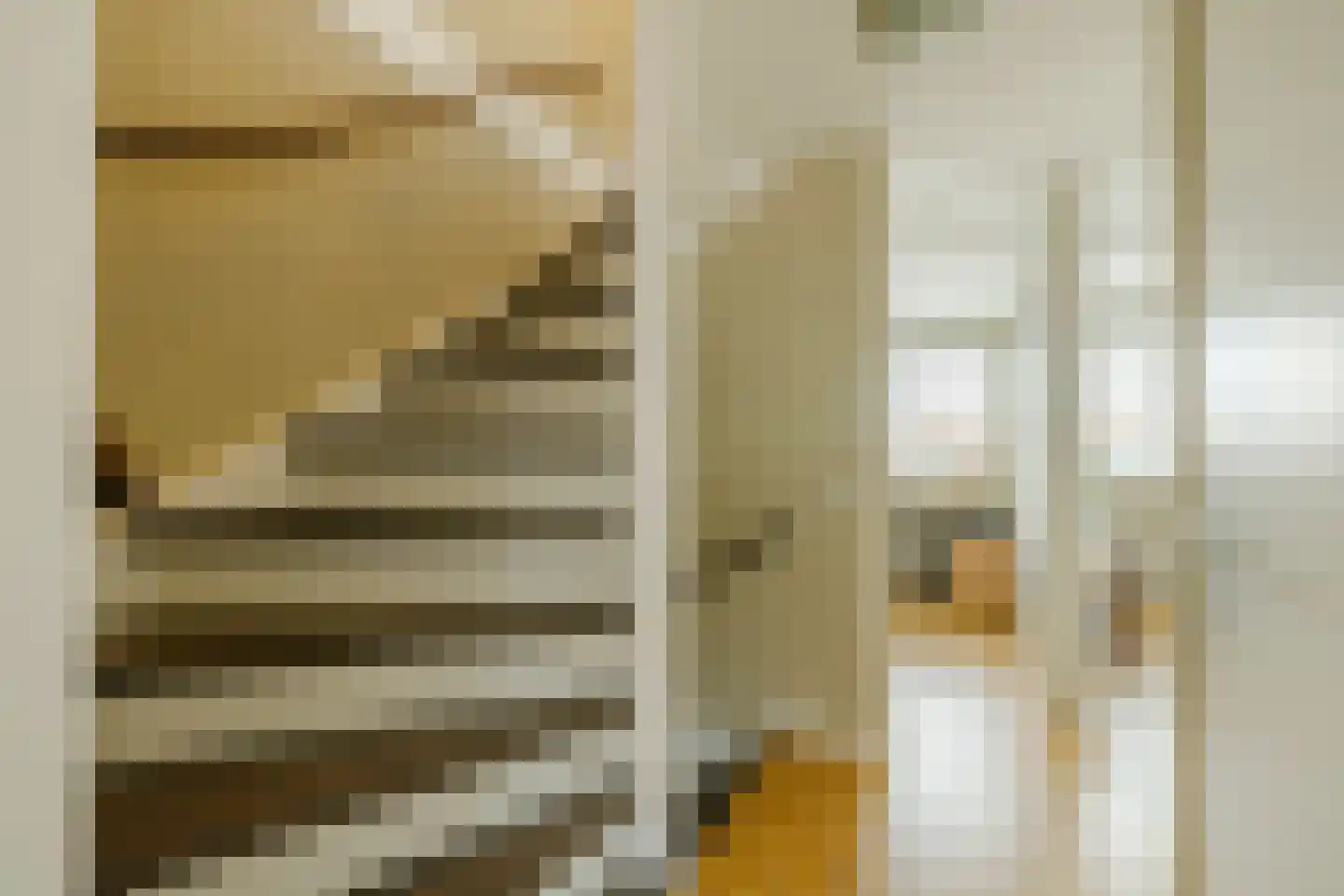 A.L. Dyserinckstraat 37 Haarlem thumbnail 28
