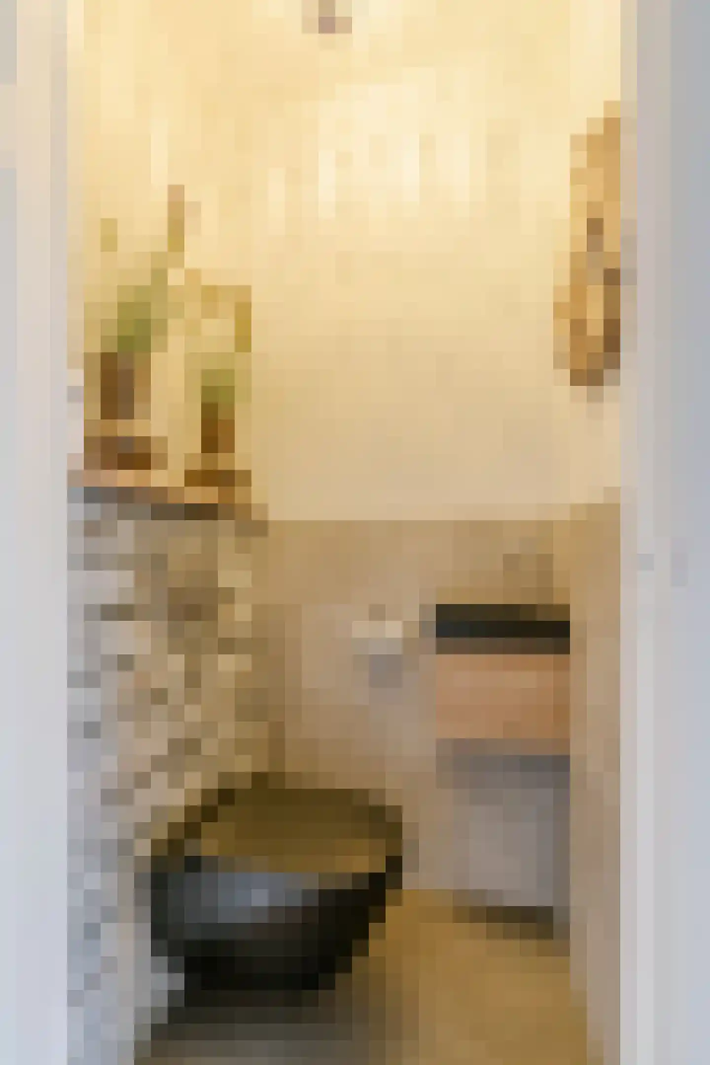 A.L. Dyserinckstraat 37 Haarlem thumbnail 34