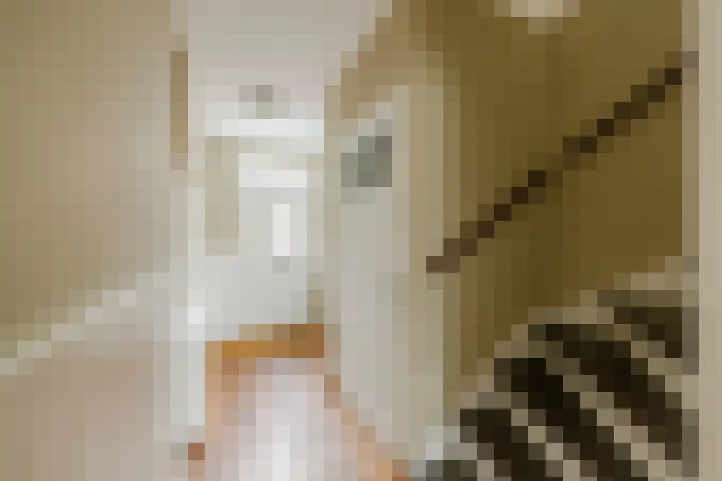 A.L. Dyserinckstraat 37 Haarlem thumbnail 35
