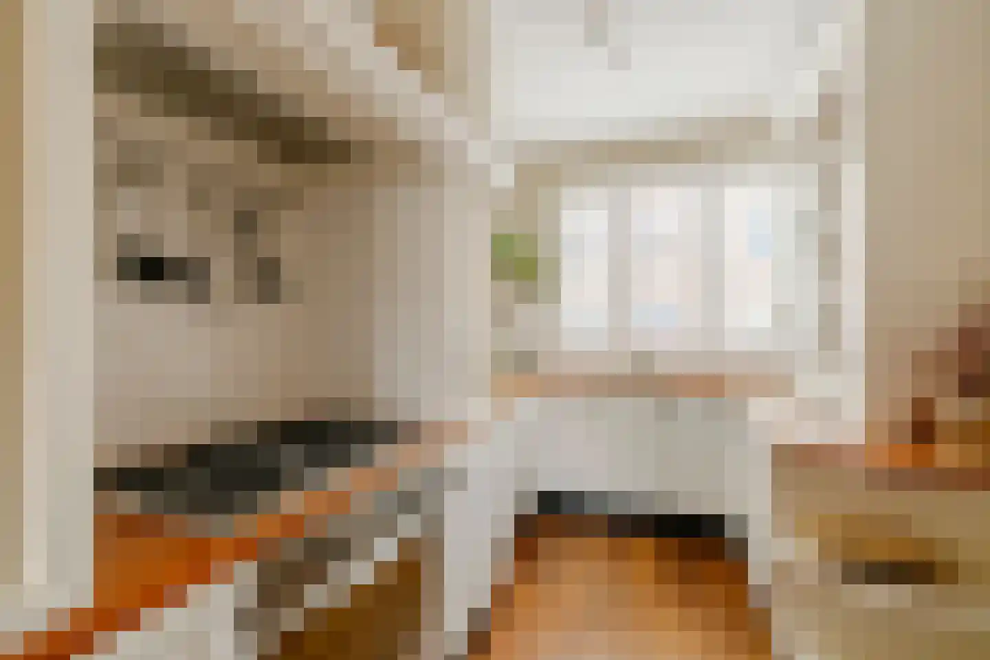 A.L. Dyserinckstraat 37 Haarlem thumbnail 9