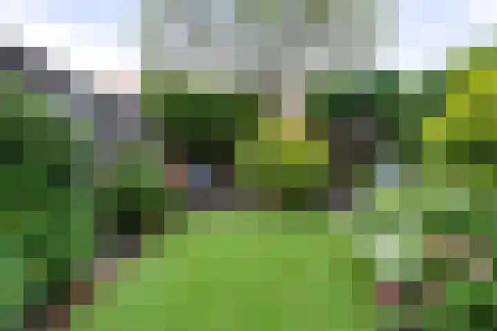 A.L. Dyserinckstraat 49 Haarlem thumbnail 14