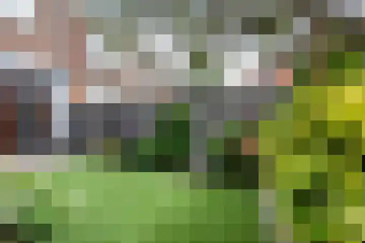 A.L. Dyserinckstraat 49 Haarlem thumbnail 16