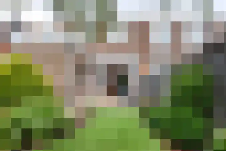A.L. Dyserinckstraat 49 Haarlem thumbnail 17