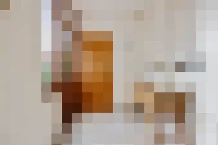 A.L. Dyserinckstraat 49 Haarlem thumbnail 19