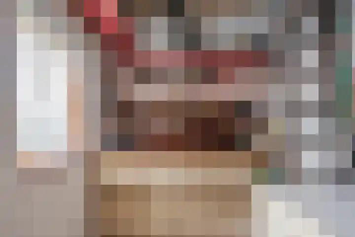 A.L. Dyserinckstraat 49 Haarlem thumbnail 20