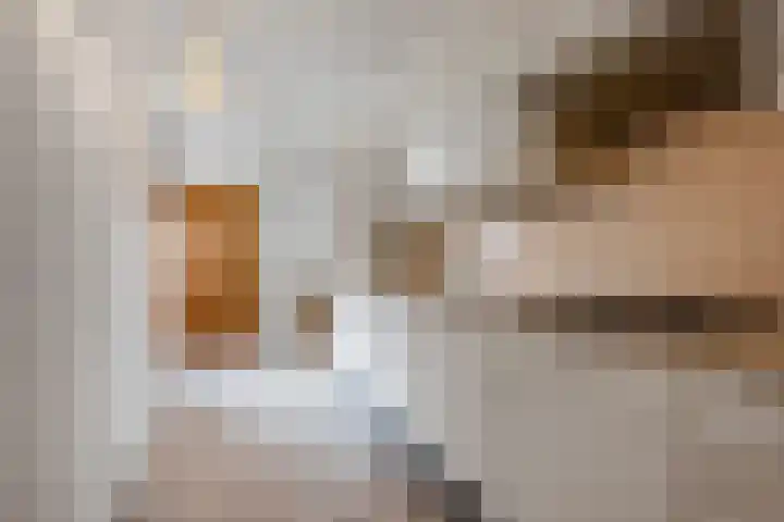 A.L. Dyserinckstraat 49 Haarlem thumbnail 21
