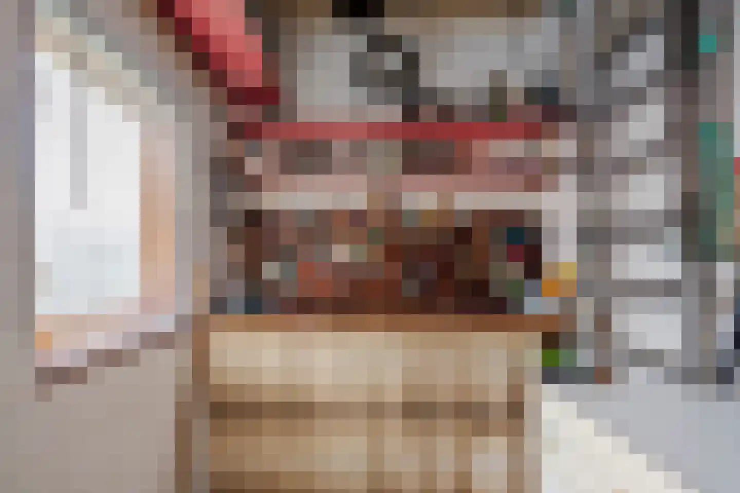 A.L. Dyserinckstraat 49 Haarlem thumbnail 23