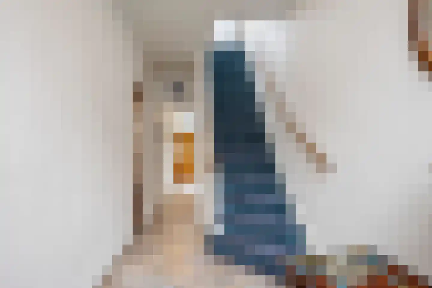 A.L. Dyserinckstraat 49 Haarlem thumbnail 24