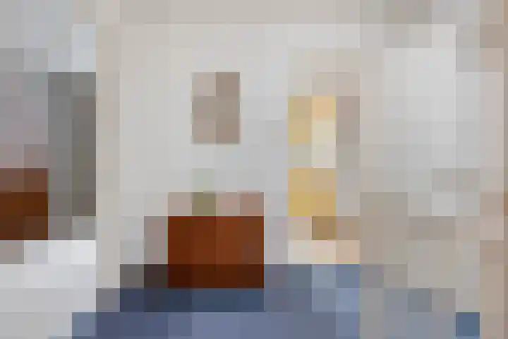 A.L. Dyserinckstraat 49 Haarlem thumbnail 26