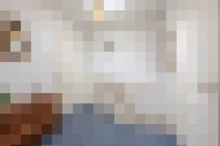 A.L. Dyserinckstraat 49 Haarlem thumbnail 27