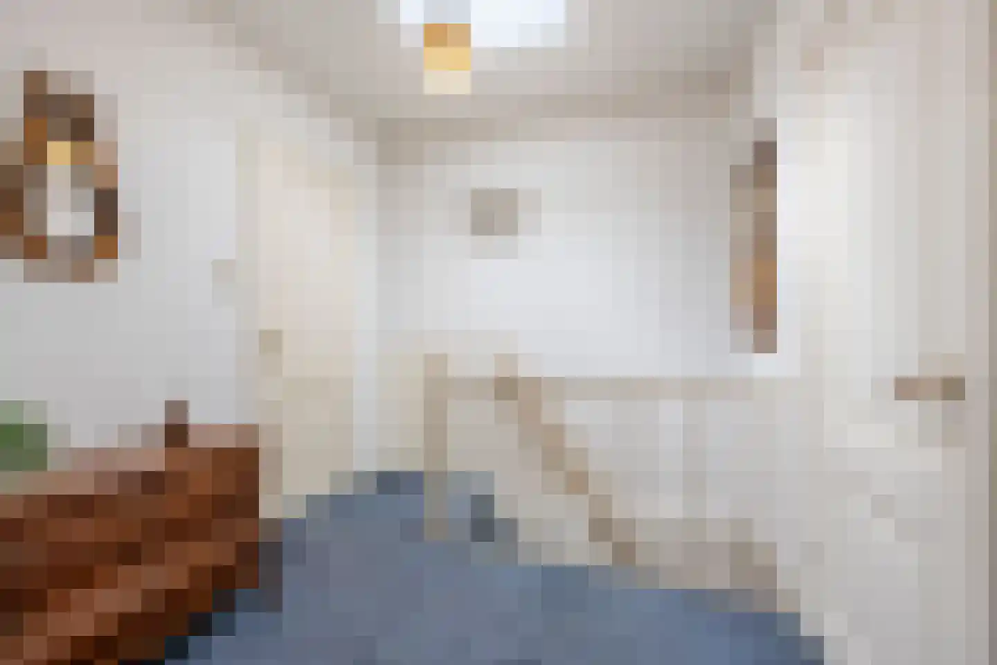 A.L. Dyserinckstraat 49 Haarlem thumbnail 28