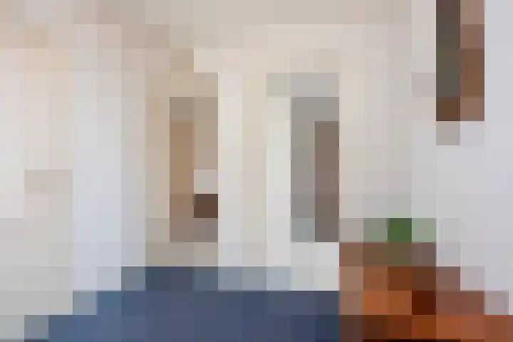 A.L. Dyserinckstraat 49 Haarlem thumbnail 29