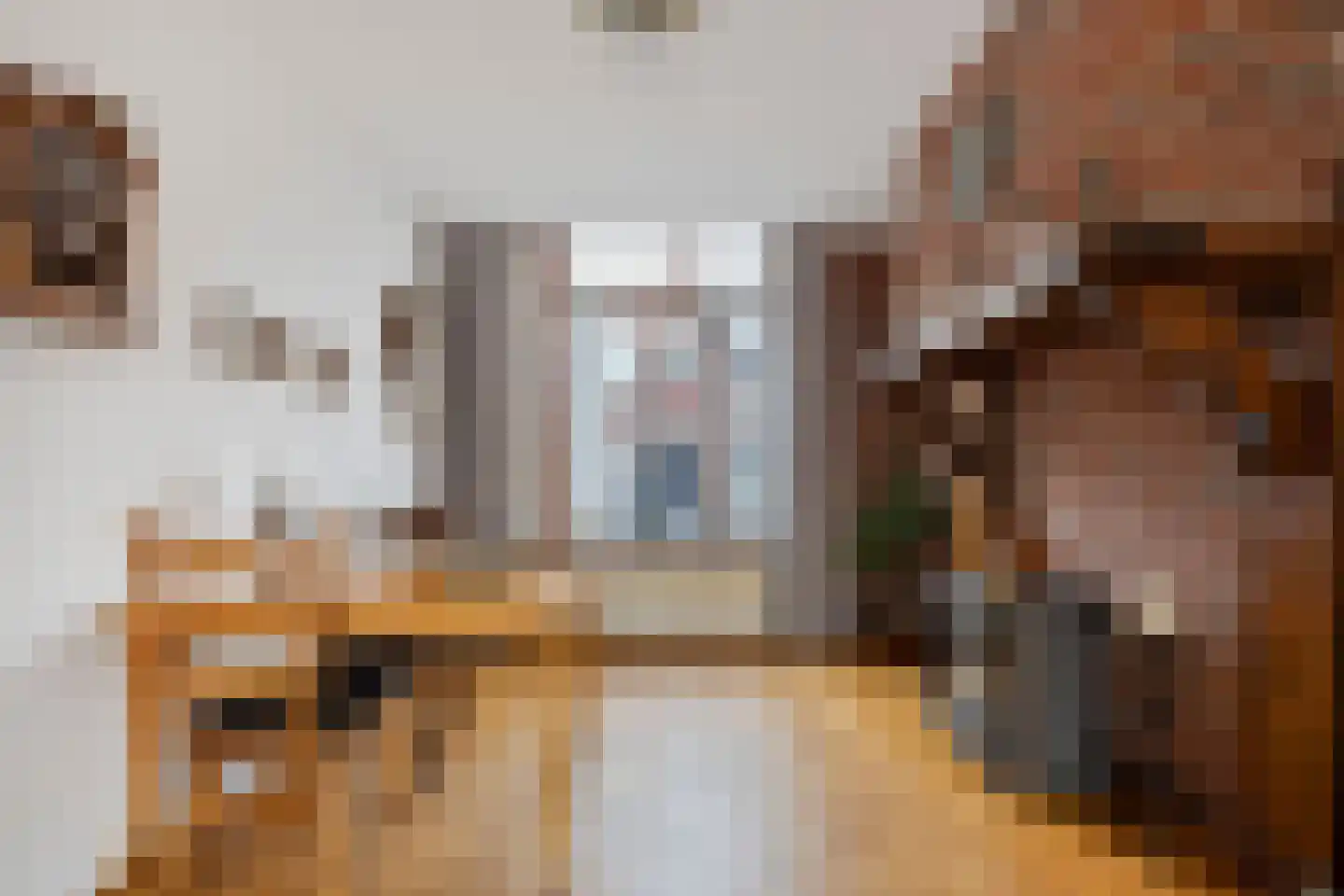 A.L. Dyserinckstraat 49 Haarlem thumbnail 9