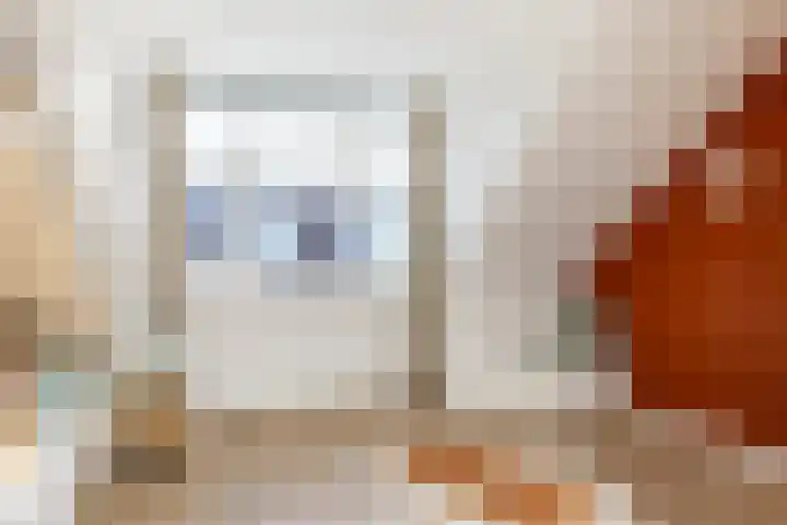 A.L. Dyserinckstraat 76 Haarlem thumbnail 26