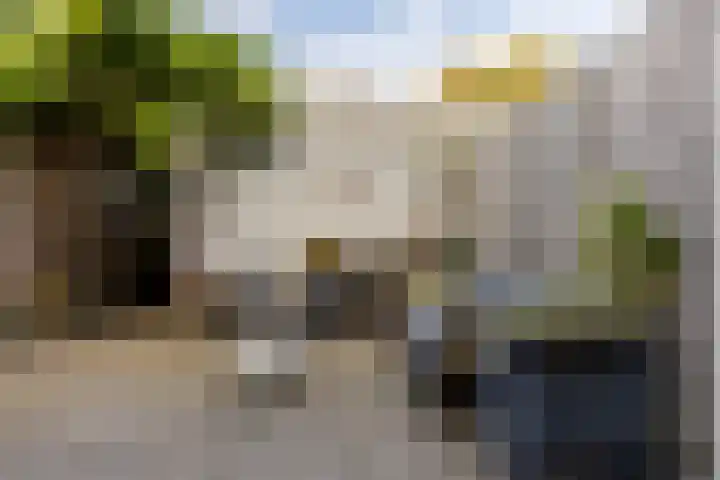 A.L. Dyserinckstraat 76 Haarlem thumbnail 30