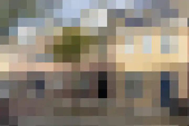 A.L. Dyserinckstraat 76 Haarlem thumbnail 36