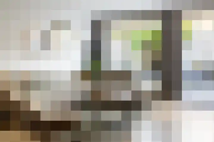 A.L. Dyserinckstraat 76 Haarlem thumbnail 5