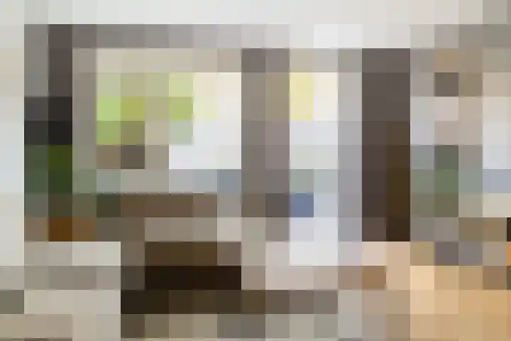A.L. Dyserinckstraat 76 Haarlem thumbnail 7