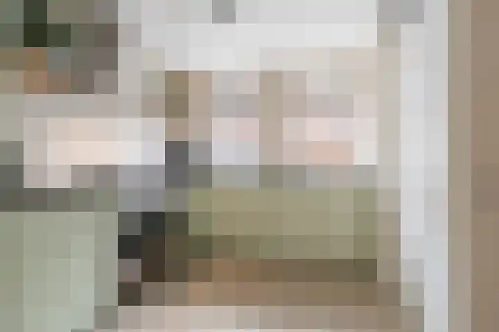 A.L. Dyserinckstraat 94 Haarlem thumbnail 20