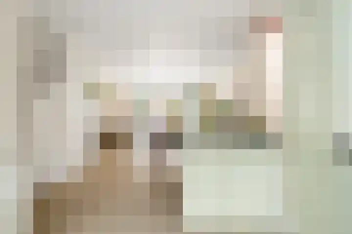 A.L. Dyserinckstraat 94 Haarlem thumbnail 23