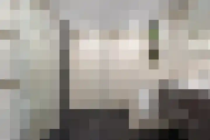 A.L. Dyserinckstraat 94 Haarlem thumbnail 33