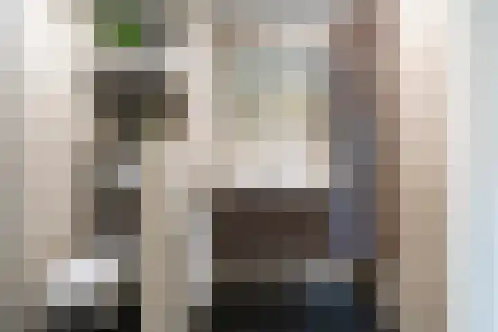 A.L. Dyserinckstraat 94 Haarlem thumbnail 34