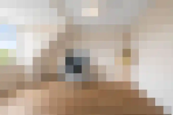 A.L. Dyserinckstraat 94 Haarlem thumbnail 36