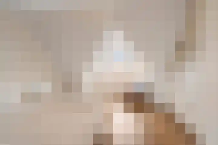 A.L. Dyserinckstraat 94 Haarlem thumbnail 37