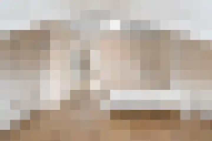 A.L. Dyserinckstraat 94 Haarlem thumbnail 38